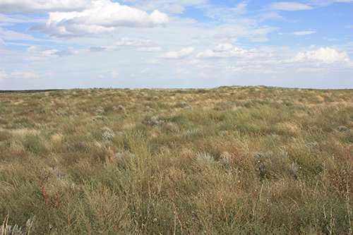 Property photo 49 - LAND AUCTION, 3255+/- Acres offered in 13 Tracts